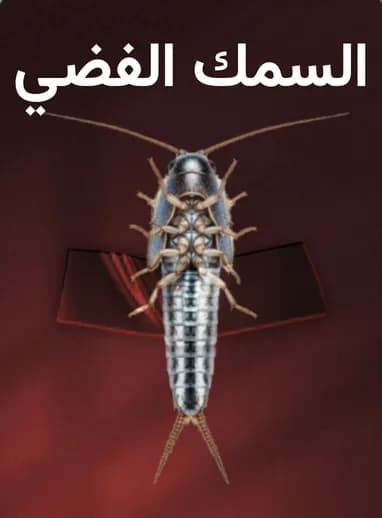 السمك الفضي